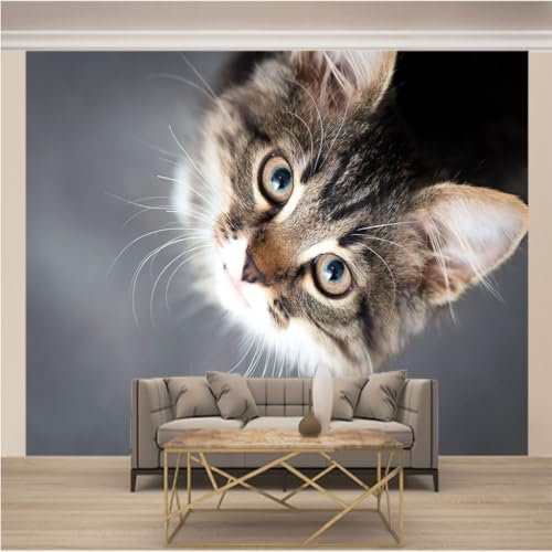 WYXWZ Papier Peint Panoramique Trompe l'oeil 3d Chambre Adulte Enfants Art Papier Peint Intissé Mural Moderne Toison Salon Chambre à Coucherr Salle L 200cm x 140cm (Largeur x Hauteur) Chat Mignon