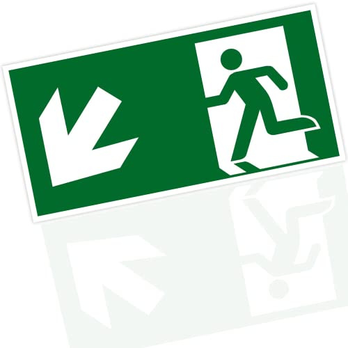 Original Notausgangsschild nachleuchtend und selbstklebend, Fluchtwegschild aus hochwertigem PVC, Rettungsschild Ausgang, Notausgangsschild stoß und kratzfest (Pfeil Abwärts Links)