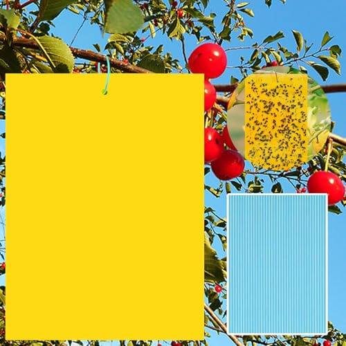 40 Pcs Trampas Adhesivas para Moscas Trampas De Insectos De Doble Cara Pegatinas Adhesivas De Papel De Mosca Amarillas Tram Pas De Mosca Pegajosas para Moscas,Pulgones,Mineros De Hojas,Polillas