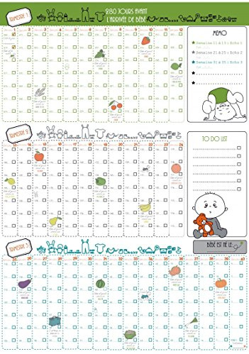Calendario poster con 9 mesi, per tenere sotto controllo la gravidanza giorno dopo giorno