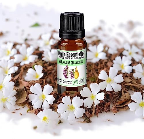 la Vie en Zen - Huile Essentielle Marjolaine à coquille 10 ml (aussi nommée marjolaine des jardins) - Conforme HECT Chémotypée 100% pure et naturelle - Marque Francaise de qualité
