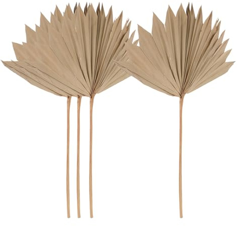 Beavorty Decorazione Foglie di Palma Essiccate 4 Pezzi, Ventaglio Naturale per Composizioni Floreali, Ornamento Artistico da Parete per Matrimoni e Arredamento Casa