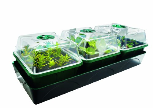 Bio Green Hollandia Anzuchtstation mit Kapillarmatte und Wassertank 1,4l , L : 54cm, B: 17cm, H: 21cm - 12,5 W