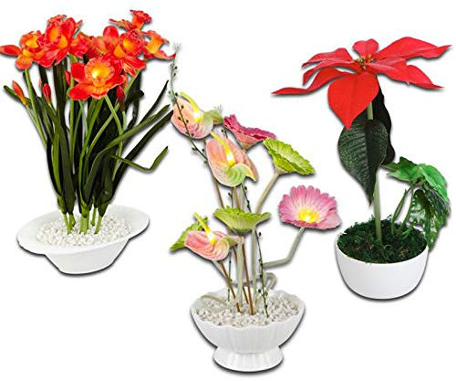 DbKW (ANTHURIUM) LED Kunstblumen im Keramiktopf, Leuchtende Pflanzen, Pointsette, Anthurium, Narcis, Gerbera, Weihnachtsstern, Narzissen