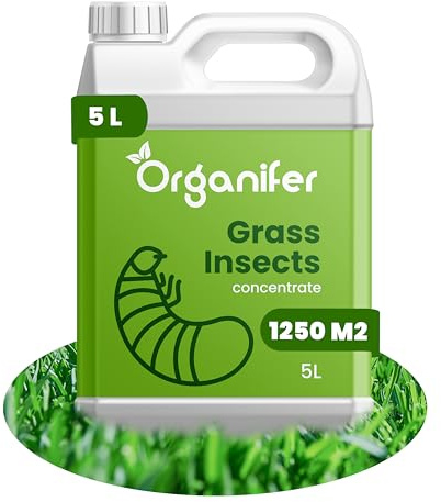 Organifer Grass Insects Concentrado (5 L, 1250 m2) – gusanos – escarabajo de mayo – Cuidado del césped – Fertilizante de jardín – concentrado no tóxico