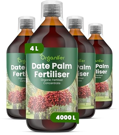 Engrais liquide organique 4x1L pour palmier dattier – feuilles saines et croissance optimale – Organifer