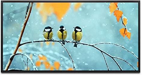 Vögel auf einem Ast ca. 130x70cm Wandbild inklusive Schattenfugenrahmen schwarz - Panorama Leinwand Bild XXL Format Wandbilder Wohnzimmer Wohnung Deko Kunstdrucke