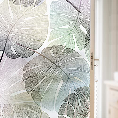 ADSFG Pellicola per Vetri Privacy 50cm x 200cm Pellicola per Finestre Colorato Smerigliato Statico Senza Colla Tenda Pellicola Isolante Termica per Protezione Solare,H