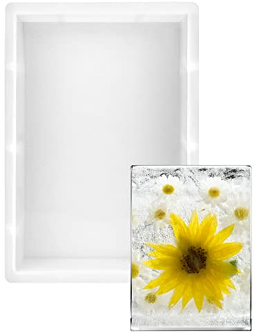 QWORK® Grandi Stampi per Resina Epossidica, Stampi Rettangolari in Silicone per Vassoi Fai da Te Piatti Decorazioni da Scrivania 24,5 x 17 x 5 cm