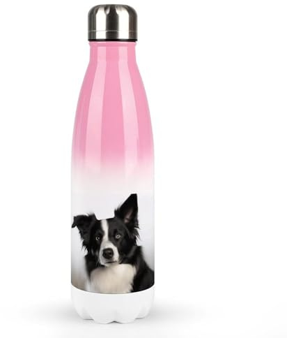 Wasserflasche aus Edelstahl, wiederverwendbar, Motiv: Border Collie, perfekt für unterwegs, 482 ml