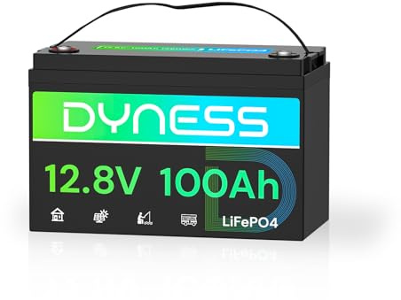 Dyness LiFePO4 12V 100Ah Lithium Batterie mit 100A BMS, Max.15000 Zyklen, 12V Deep Cycle Lithium Eisenphosphat Batterie für Wohnwagen, Solar Home Systeme, Boote