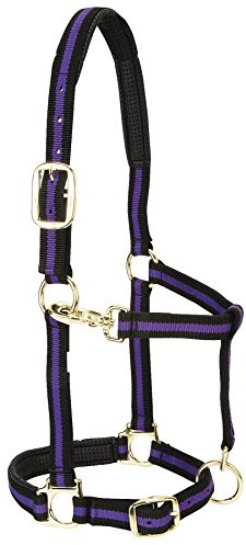 Väv läder vadderad justerbar nylon hästgrimma lila, 2,54 cm liten häst