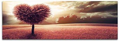 Paul Sinus Art Panoramabild auf Leinwand und Keilrahmen 120x40cm Wiese Baum Herz abstrakt Wolkenhimmel