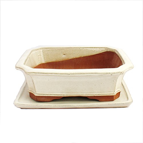 Bonsai-skål med underlägg stor 5 – ljusbeige – fyrkantig – modell G4 – L 31 cm – B 23 cm – H 9,5 cm