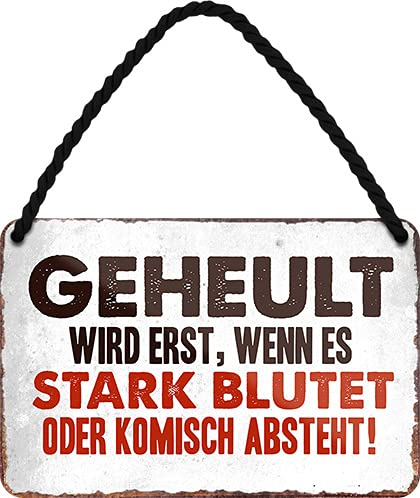 schilderkreis24 - Blechschild 18×12 cm – witzige & freche Sprüche – Deko für Küche, Büro & Camper – lustige Geschenkidee (Geheult wird erst..)