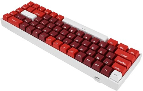 RASTKY 68 Tastiera Meccanica Chiave, 60% di Interruttore Blu, Retroilluminazione RGB, Swappabile a Caldo, Tastiera Cablata USB C Ergonomica