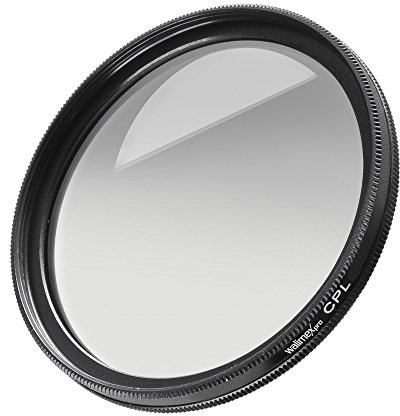 walimex Pro MC CPL Filtre 43 mm à revêtement pour appareil photo