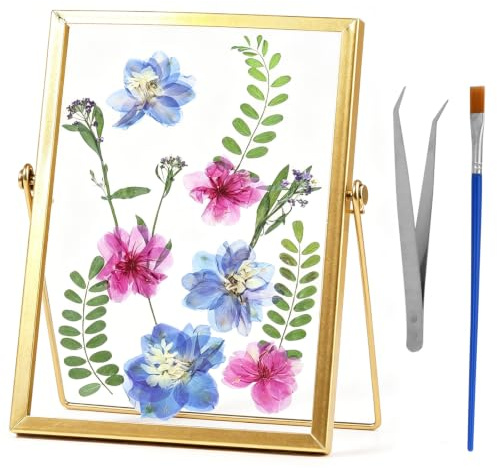 Glasbilderrahmen 15x20cm Glasrahmen für Gepresste Blumen, Gold Bilderrahmen Stehend, Doppelglas Glasbilderrahmen Durchsichtig Fotorahmen Pflanzenprobe für Pflanzenprobe Kunstwerke Bilder Halter