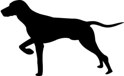 Samunshi® Magyar Vizsla Hunde Aufkleber Autoaufkleber Sticker in 7 Größen und 25 Farben (20x12,4cm schwarz)