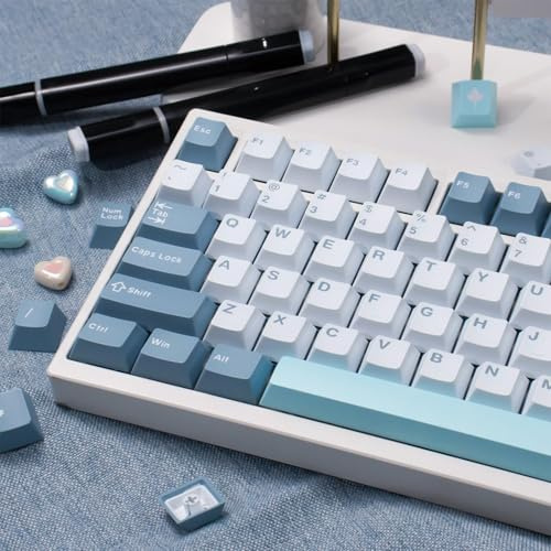 164 Tasten Double Shot Shoko Tastenkappen Cherry Profile Keycaps Set | Fit for 61/64/87/104/108 Cherry Mx Switches ISO/ANSI Layout Mechanische Keyboard
