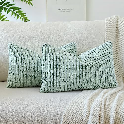 JOTOM 2er Set Kordsamt Weicher Kissenbezüge Moderne Kissenhüllen Dekorative Sofakissen Dekokissen Zierkissenbezug für Wohnzimmer Sofa Schlafzimmer Blau Grün 30x50 cm