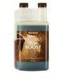 Booster Floraison Bio Boost 250ml - Biocanna