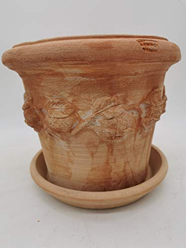 Teramico Pflanzgefäß Blumentopf Italienisches Terracotta Conca LIMONI mit Teller/Untersetzer für den Innen- und Außenbereich (25cm)
