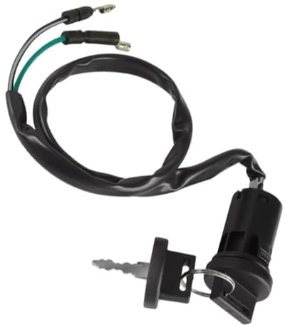 Moto Bobina Accensione Interruttore A Chiave Accensione 2 Shift Off-On Per TRX90 Per Fourtrax 1993-2001 35100-HF7-007 Statore