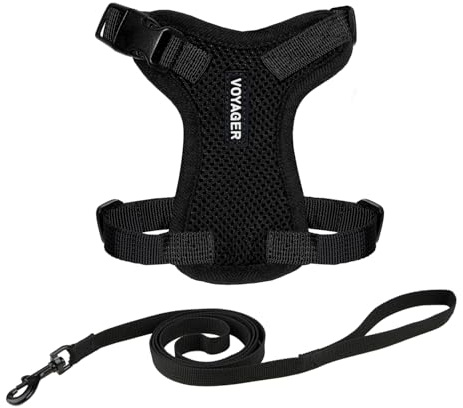 Voyager Step-in Lock Katzengeschirr und reflektierende Katzenleine mit Neoprengriff by Best Pet Supplies - Unterstützt kleine, mittelgroße und große Katzenrassen, Schwarz, size XXXS - 1,5 m