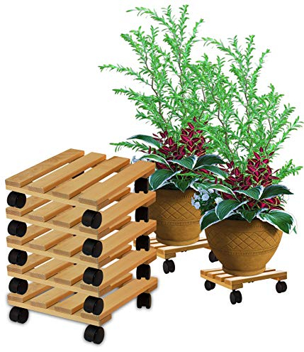 BigDean 5X Pflanzenroller eckig Buchenholz massives Holz 30 x 30 cm bis 120 Kg Rolluntersetzer