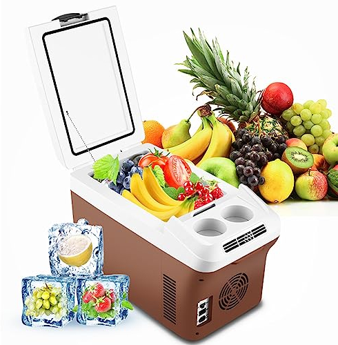 TRAGLO Mini Fridge 15L Car Refrigerator Portable Cooler/Warmer Fridge Refrigerator 12V Electric Cooler Box with Shoulder Strap for Camping,Truck,Boat,Picnic