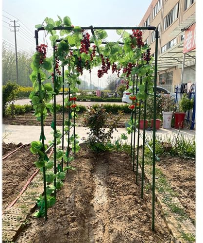 Gurkenspalier Große Garten Trauben Gurke Spalier Unterstützung Pfähle, Garten Metall Spalier für Kletterpflanzen Gemüse Erbsen Obst Rebe, Outdoor Pflanze Diy Unterstützung Pole Frame(210x210x210cm(5.9
