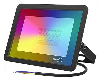 Proiettori A LED, Tuya WiFi Smart LED Proiettore Riflettore 30W 50W 100W RGB Dimmerabile Faretto Illuminazione Esterna Funziona con Alexa Google Home Luce da Lavoro Brillante (Color : 1, Size : 30W