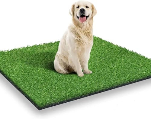 Esterni, Erba Finta per Cani, vasino, Area di Addestramento, Patio, Prato Inglese, 4 Dimensioni L - M - L -XL (L (60X80))