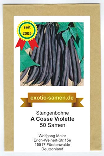 Stangenbohne - frühe Sorte - A Cosse Violette - 50 Samen