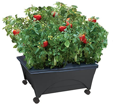 Emsco Group City Picker Raised Bed Grow Box – Self Watering and Improved Aeration – Mobile Unit with Casters
