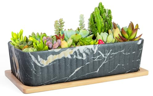 ARTKETTY Succulent Pots - Large Marble Succulent Planters with Drainage Tray, Window Sill Planter, Long Rectangle Ceramic Pots for Indoor Cactus Plants Shallow Bonsai Window Box for Home Garden Decor | 12 Inch Long Window Sill Planter for Indoor Cactus Bonsai Plants, Ceramic Marble Window Box Planter Home Office Decor