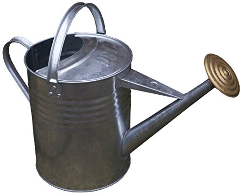 Apollo Gardening Ltd 76472 - Regadera (Metal)