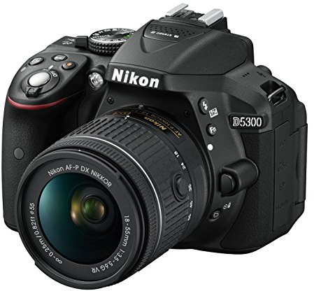 Nikon D5300 Fotocamera Digitale Reflex + Nikkor AF-P 18/55VR, 24.1 Mbps, LCD HD da 3 Regolabile, SD da 8GB, 300x Premium Lexar, Nero [Nital Card: 4 Anni di Garanzia]
