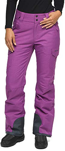Arctix Snow Sports Insulated Cargo Pants Pantalon de Neige Femme, Améthyste mélangée, Medium (8-10) Regular
