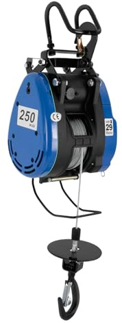 Elektrohebezeug Elektrisches Seilwinde Seilzuggerät Kettenzug Ankerwinde mit Drahtloser Fernbedienung für Werkstätten Bauprojekte Garage Winde mit Kupfermotor für schnelle Lastenhebung (30m*250kg)