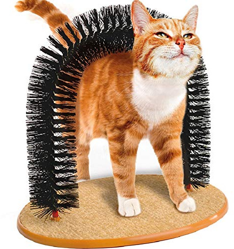 BUYTER Katzenmassage kratzender Juckreiz Kitty Haarwerkzeuge Schönheitspflegebürste Borstenbogen