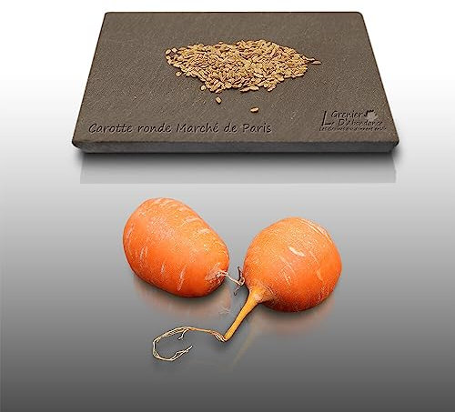 500 graines à semer - Le Grenier d'Abondance - CAROTTE Marché de Paris - Daucus Carota