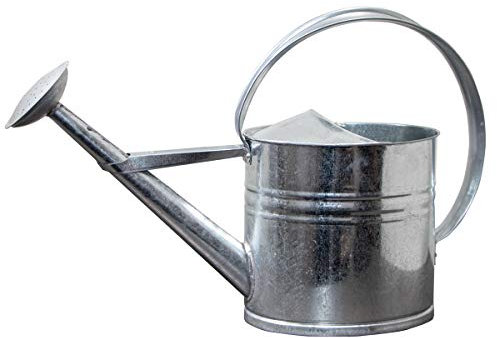 Antikas - Arrosoir en zinc vieilli, L, argent, carafe décorative