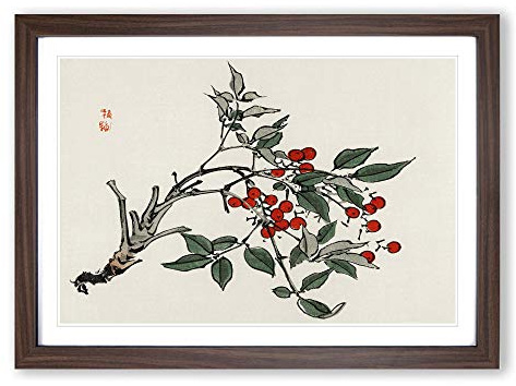 Firethorn Berries by Kono Baireir Framed Print | A2 Walnut Framed Wall Art | Ready to Hang | Modern Nature Picture | Living Room Bedroom Lounge Office
