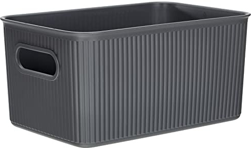 Tatay Cesta Almacenaje Plastico 5 L Baobab | Caja Organizadora | Asas Integradas | Diseño Compacto y Versátil | Plástico Libre de BPA | 11x2,3x19,5 cm, Gris