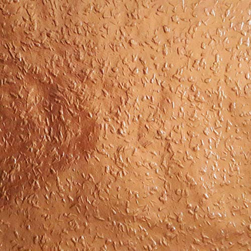 H+V Paul Kamm 100ml Testgebinde Effektfarbe Metallic, Metallic Farbe, Wandfarbe, Wand-Farbe, Glitzer Wandfarbe, Farbe mit Glitzer, Glitzereffekt, Glitzer Effekt, Glitter