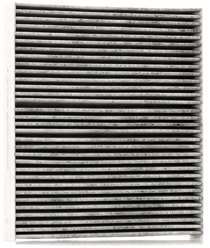 STARK SKIF-0170207 Filter, Innenraumluft Staubfilter, Pollenfilter, Mikrofilter