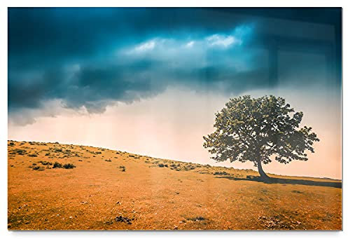 BilderKing Schönes Acrylglasverbund-Bild 90x60cm Baum. EIN Elegantes, modernes 8mm Acrylbild Gewitter für Wohnzimmer, Schlafzimmer, Flur, Küche. Mit Befestigung für schwebende Optik