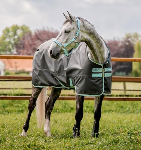 Horseware Amigo Hero Ripstop 50g Turnout Decke wasserdicht Blue Haze & Navy